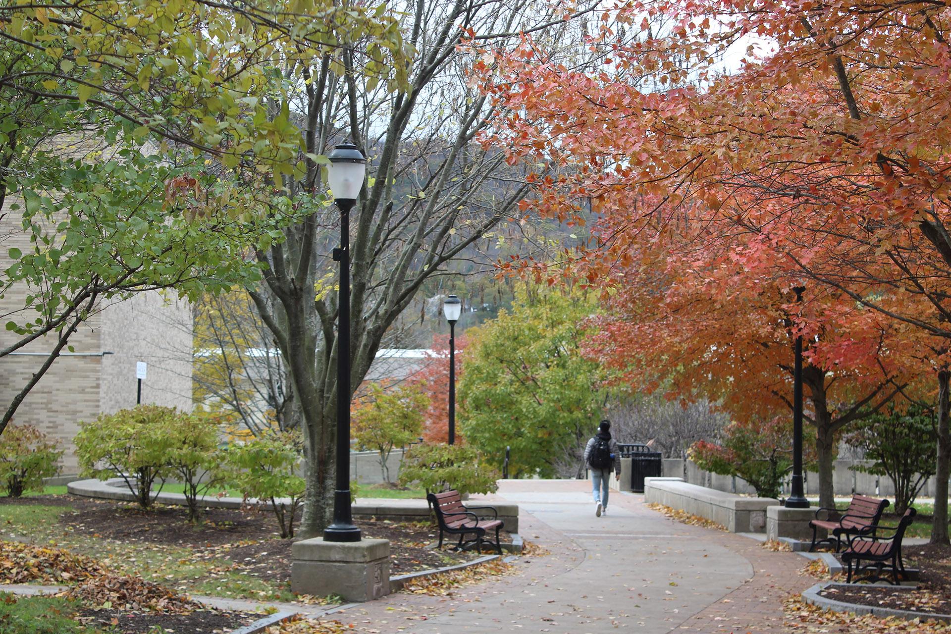 Fall on campus