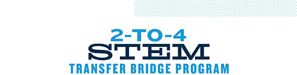 2-to-4 STEM transfer bridge program