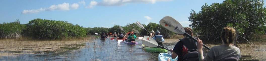 Kayaking in the Everglades