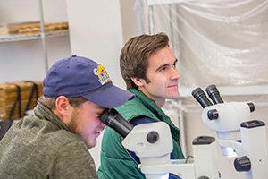 two student in front of microscopes