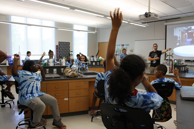 Students raising their hands in class