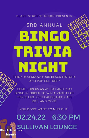 Bingo Trivia Night poster