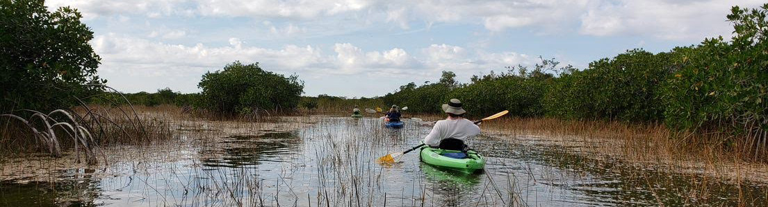 Kayaking in the Everglades