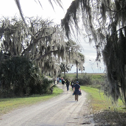MCLA travel course Florida trail