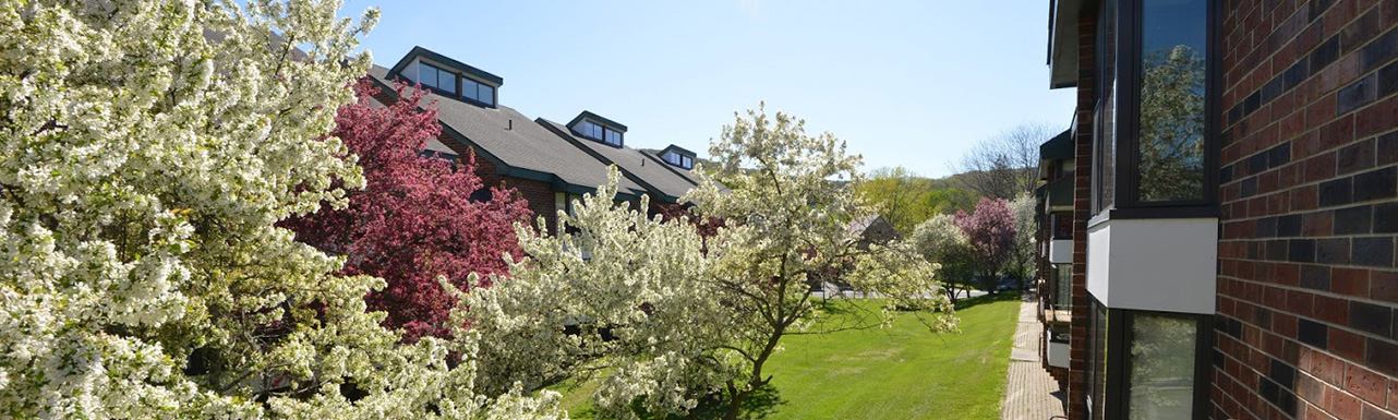 Townhouses in Spring