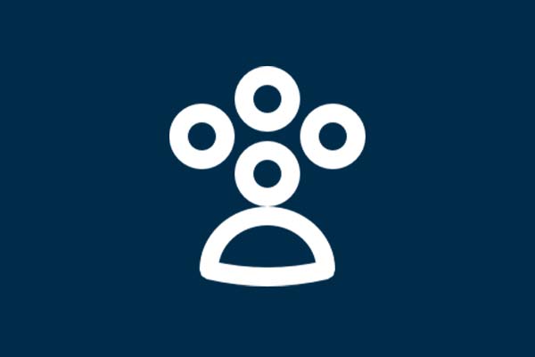 Icon Profiles 