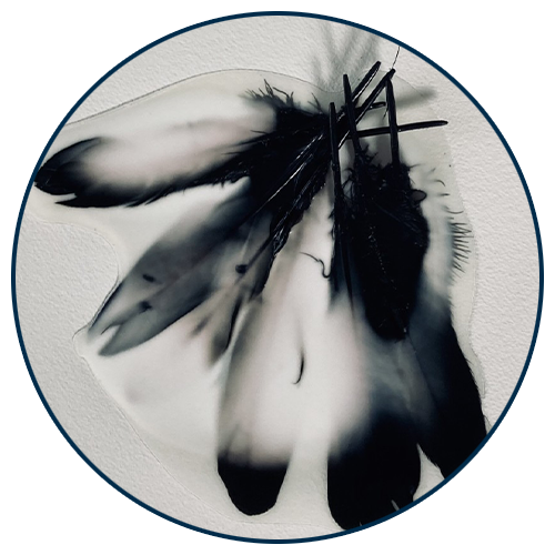 Art piece displaying feathers