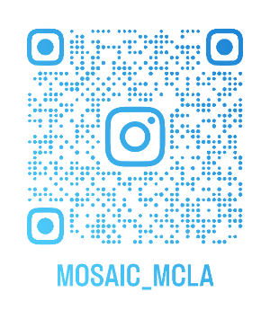 Instagram icon