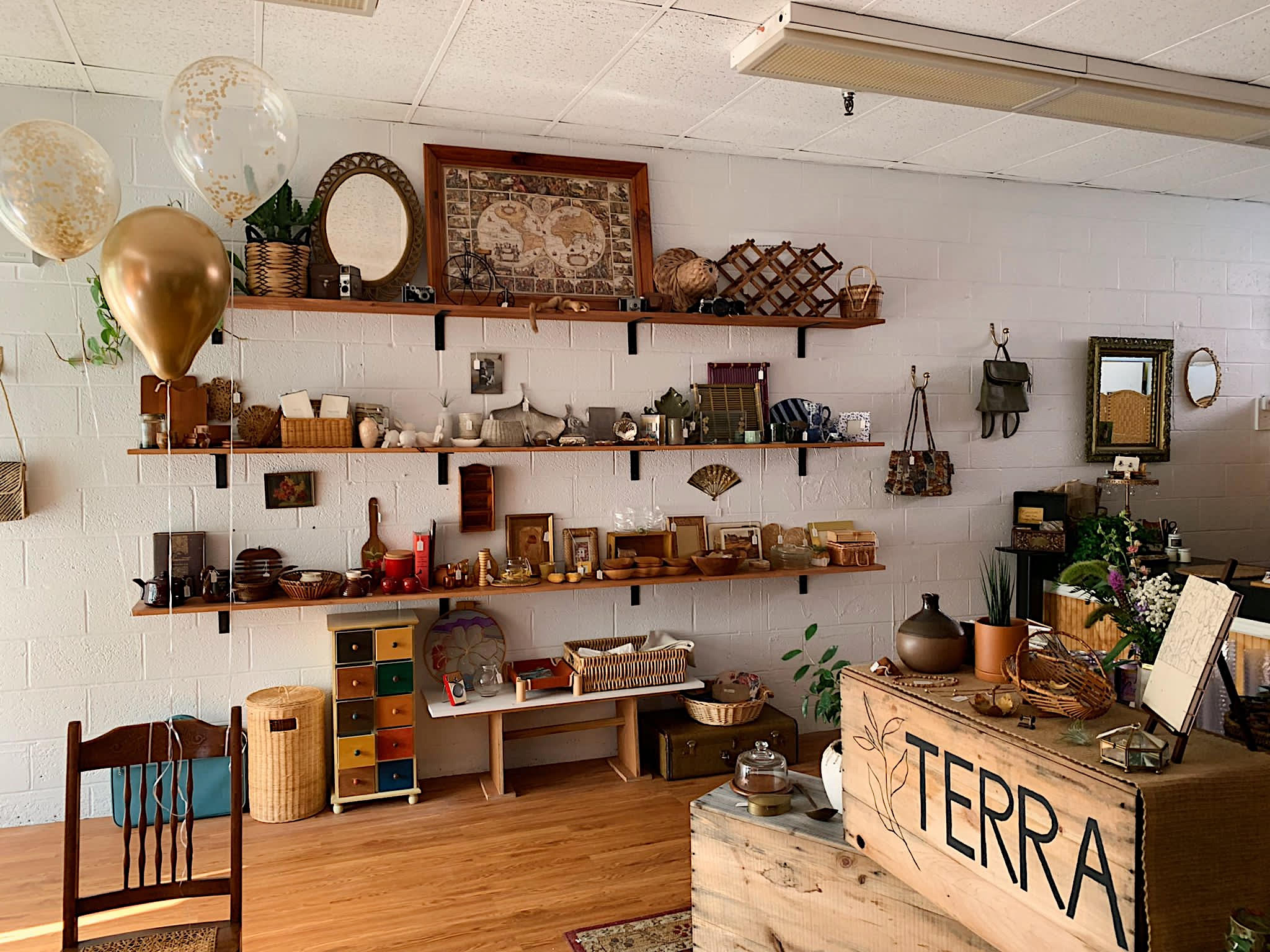 Terra in North Adams