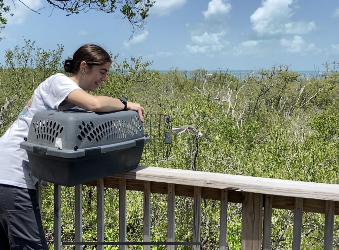 Sienna Paulsen with Bird