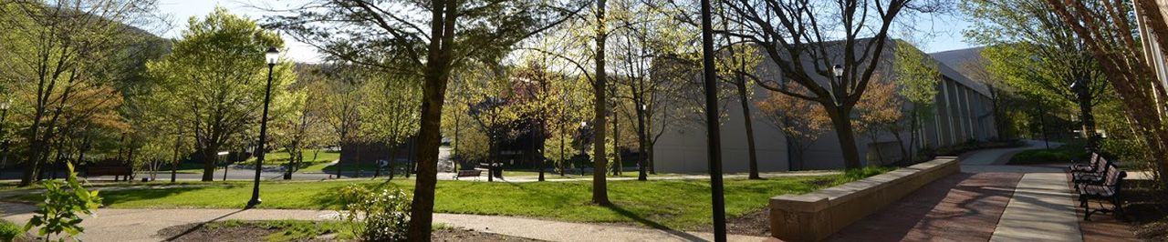 Walk toward Bowman Hall