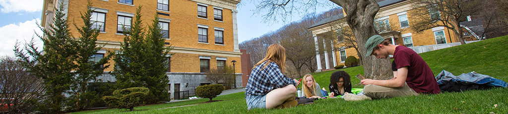 Students studying on the lawn