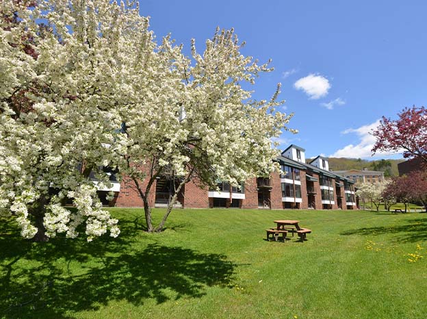 A picnic table on the MCLA campus